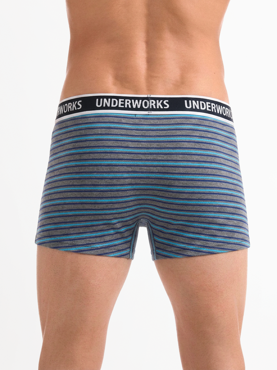 Men's Fly Front Trunk 3 pack