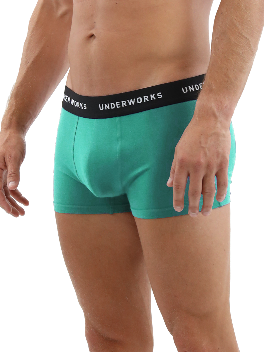 Mens Fitted Trunk 4 pack